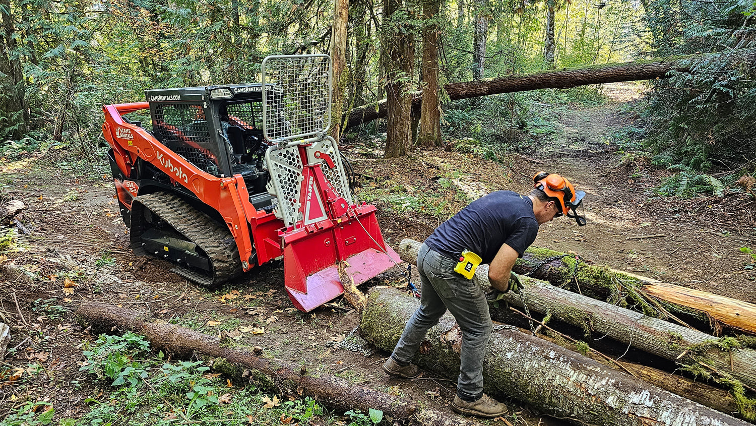 Wood and Forestry