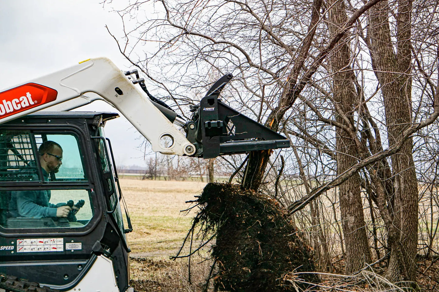 Multipurpose Tree Puller